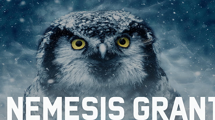 Nemesis Grant Font