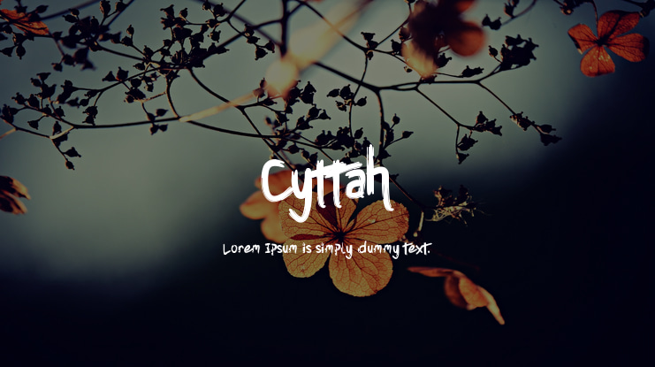 Cyttah Font Family