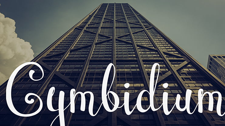 Cymbidium Font
