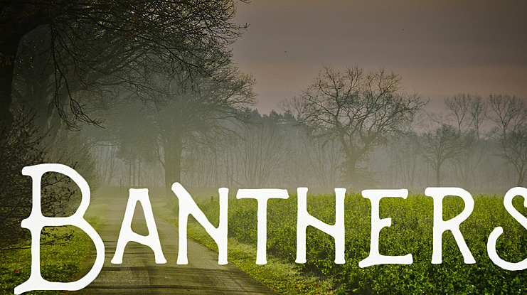 Banthers Font Family