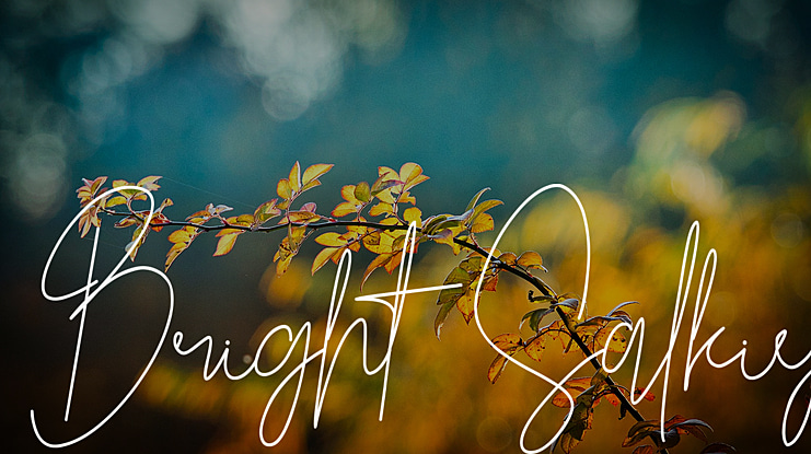Bright Salkiy Font