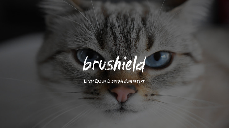 brushield Font Family