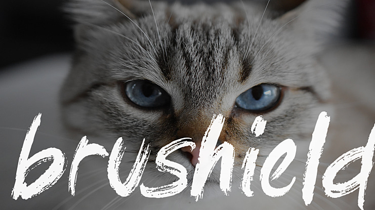 brushield Font Family