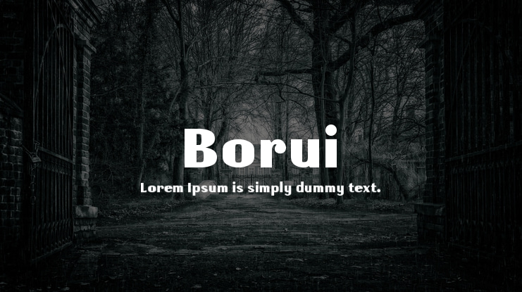 Borui Font