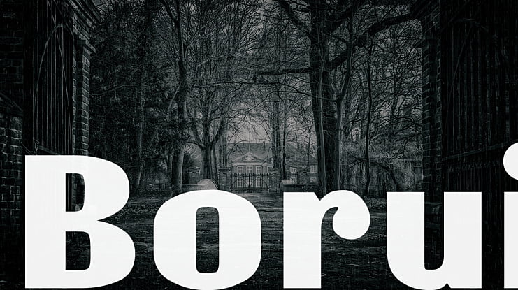 Borui Font