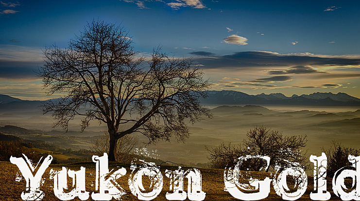 Yukon Gold Font