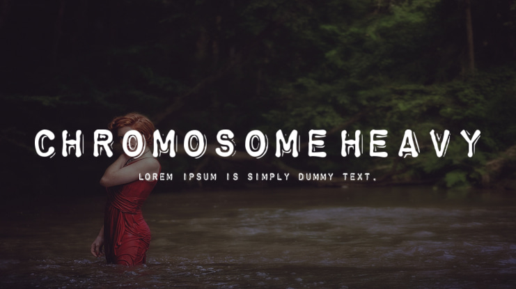 ChromosomeHeavy Font