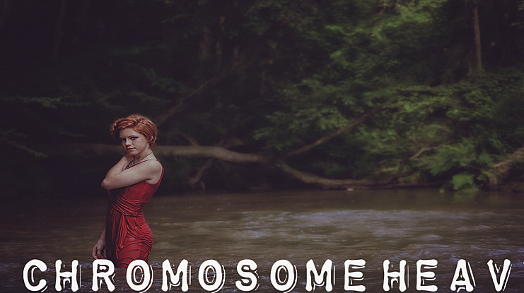 ChromosomeHeavy Font