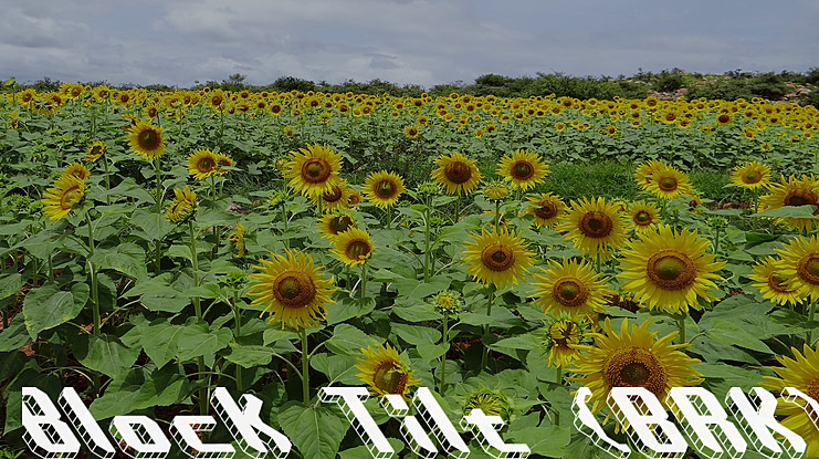 Block Tilt (BRK) Font