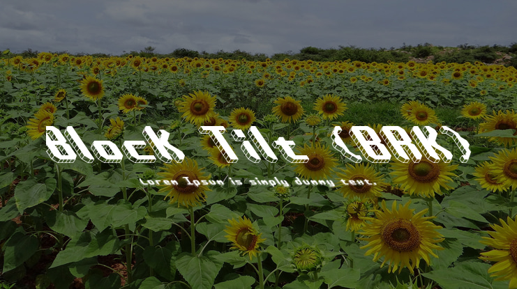 Block Tilt (BRK) Font
