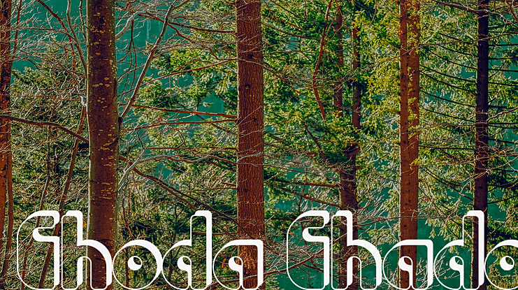 Choda Chado Font Family