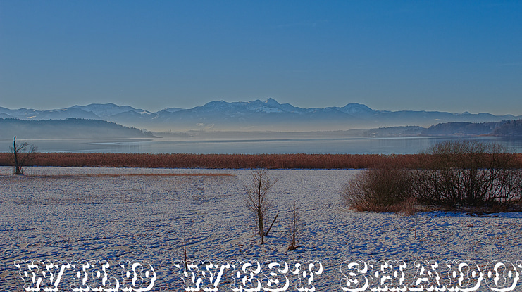 Wild West Shadow Font Family