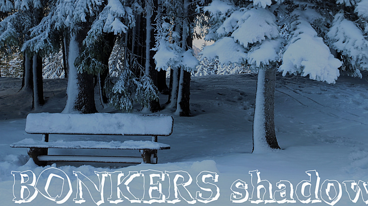 BONKERS shadow Font