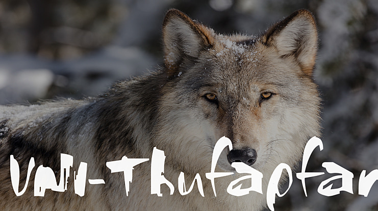 VNI-Thufapfan Font