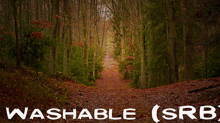 Washable (sRB) Font