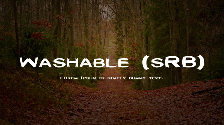 Washable (sRB) Font