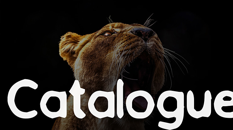 Catalogue Font