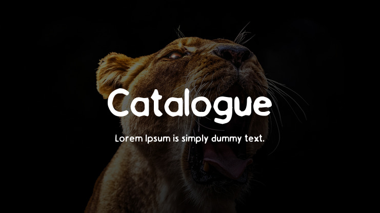 Catalogue Font