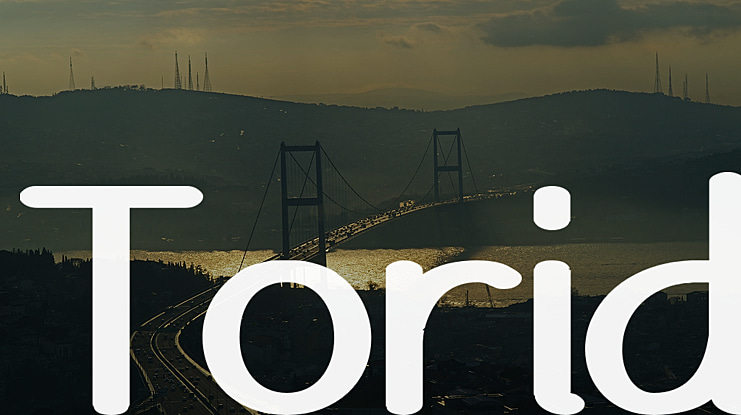 Torid Font Family