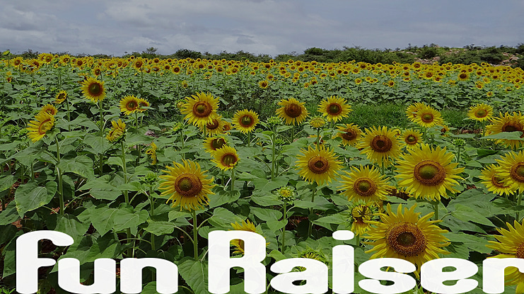 Fun Raiser Font Family