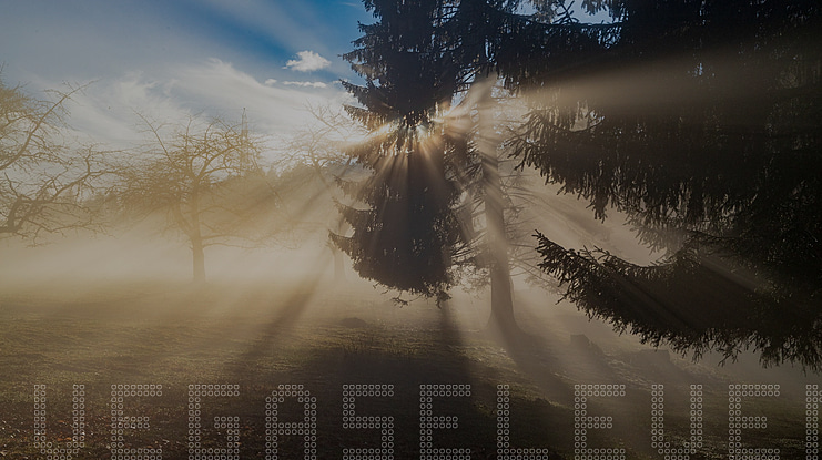 VegasELEVEN Font Family