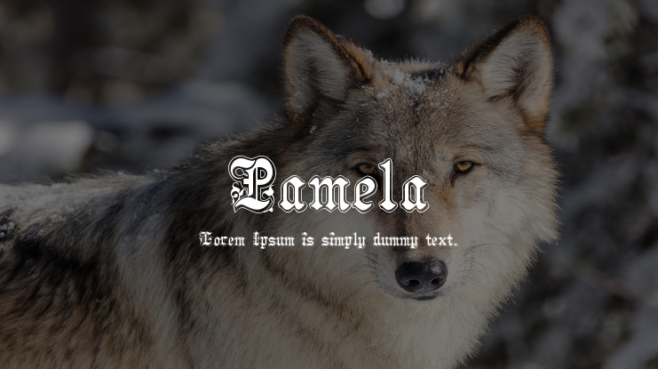 Pamela Font