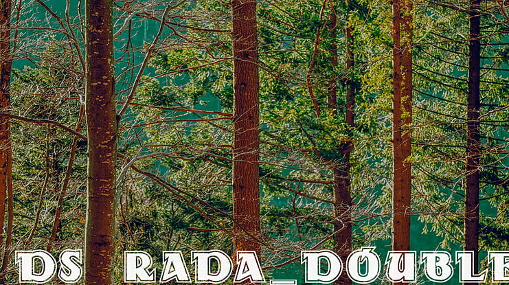 DS Rada_Double Font