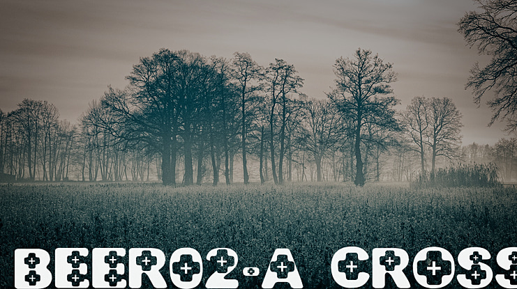 BEER02-A CROSS Font