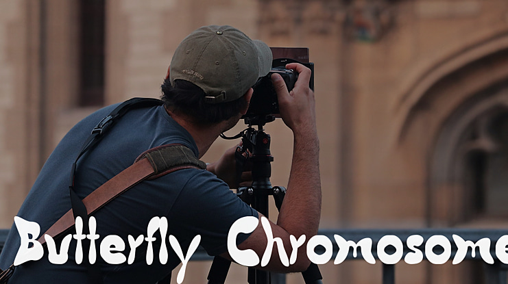 Butterfly Chromosome Font