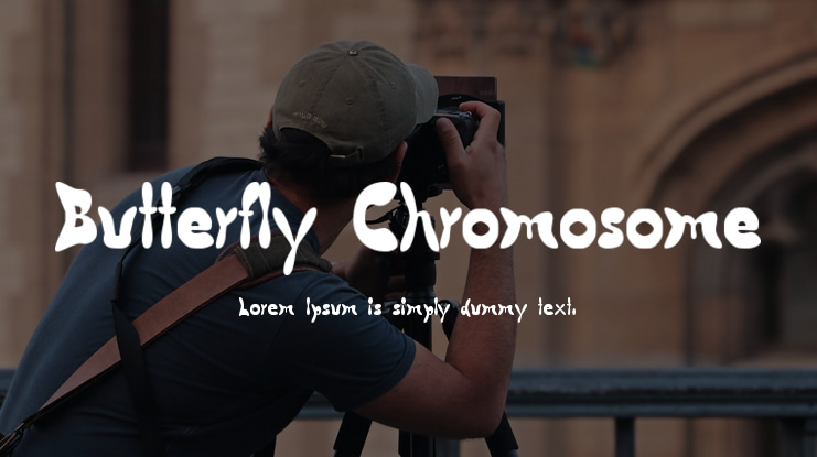 Butterfly Chromosome Font