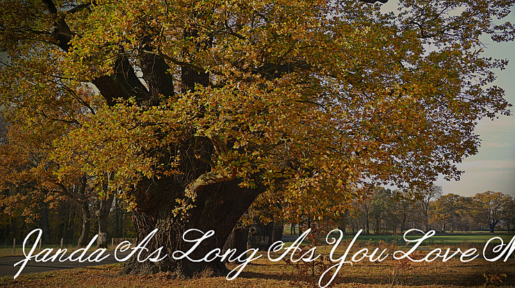 Janda As Long As You Love Me Font