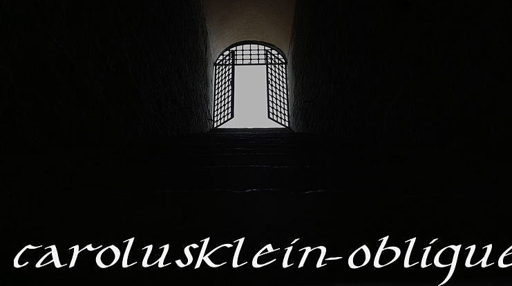 CarolusKlein-Oblique Font
