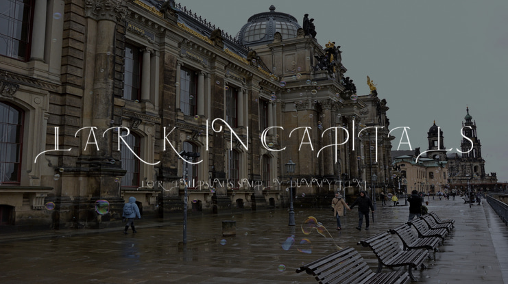 Larkin Capitals Font