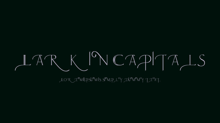 Larkin Capitals Font