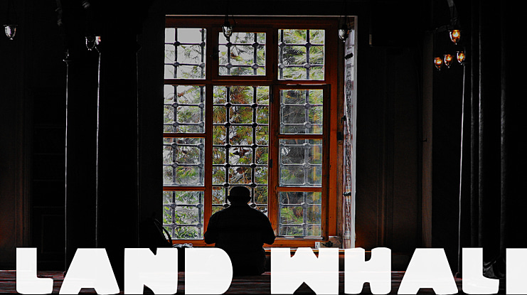 Land Whale Font Family