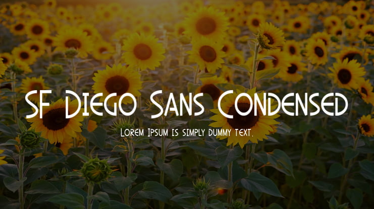 SF Diego Sans Condensed Font Family