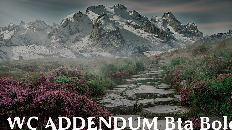 WC Addendum Bta Font Family