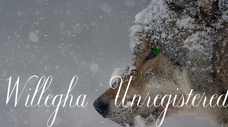 Willegha (Unregistered) Font