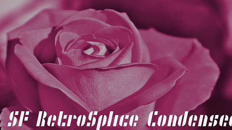 SF RetroSplice Condensed Font Family