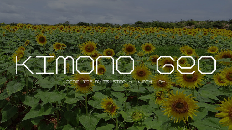 Kimono Geo Font Family