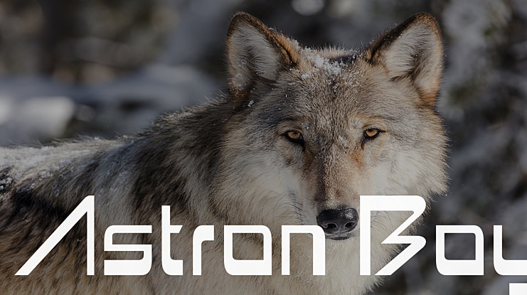 Astron Boy Font Family