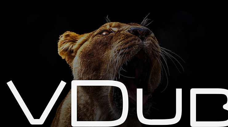 VDub Font