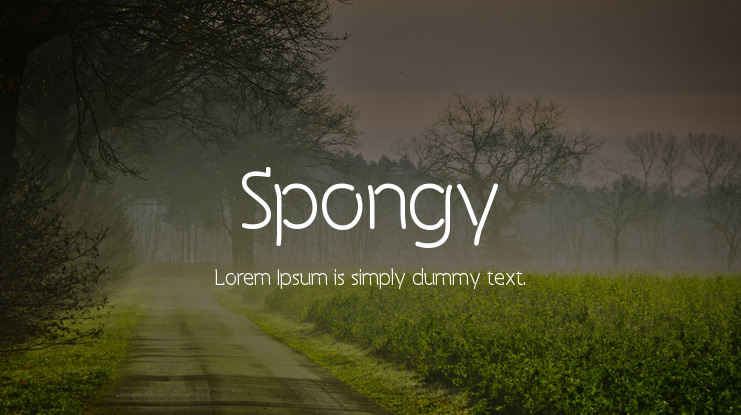 Spongy Font