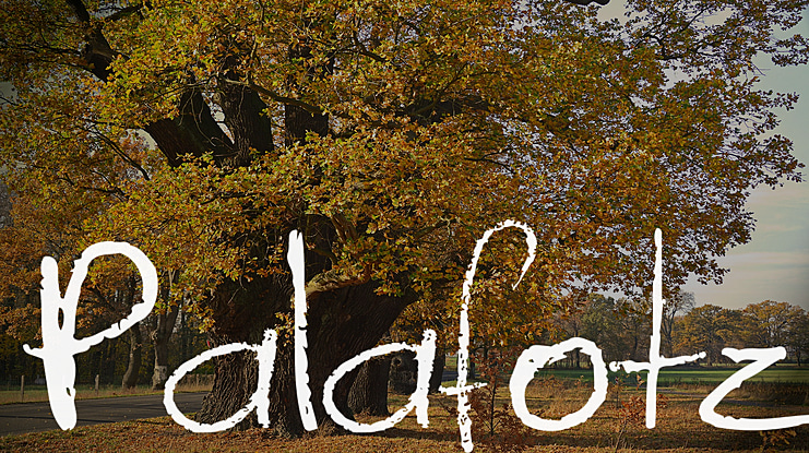 Palafotz Font
