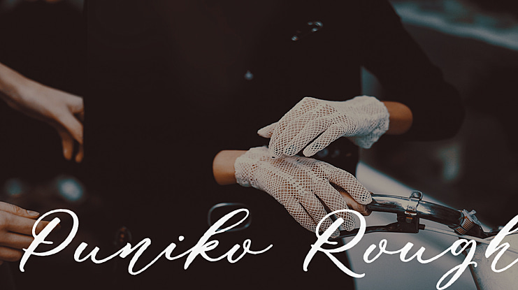 Puniko Rough Font