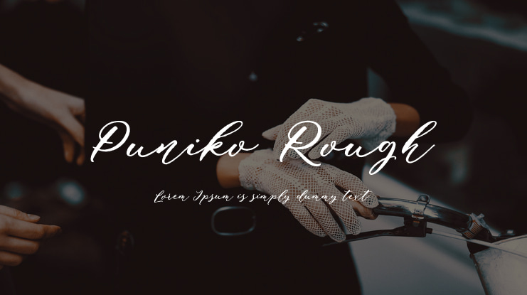 Puniko Rough Font