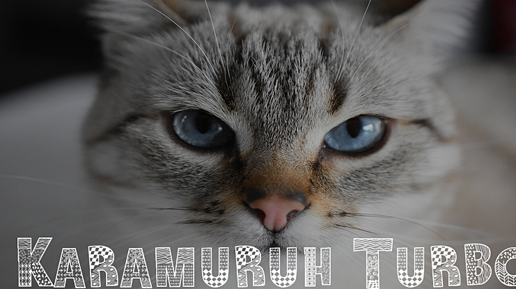 Karamuruh Turbo Font