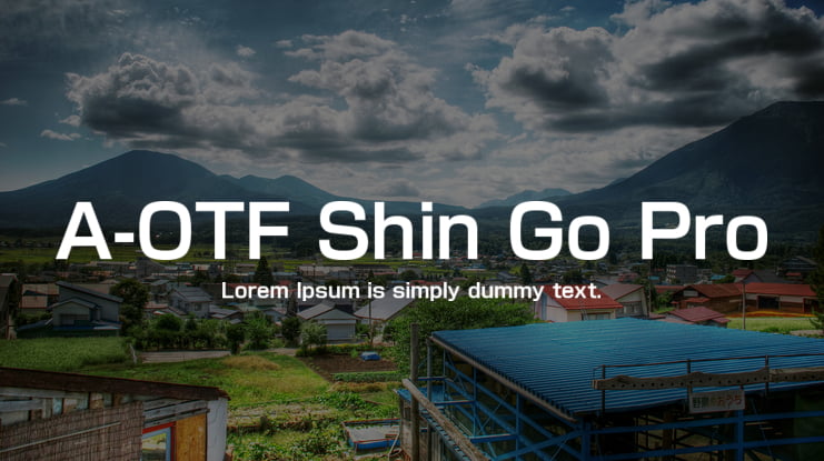 A-OTF Shin Go Pro Font Family