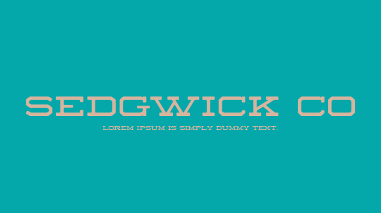 Sedgwick Co Font
