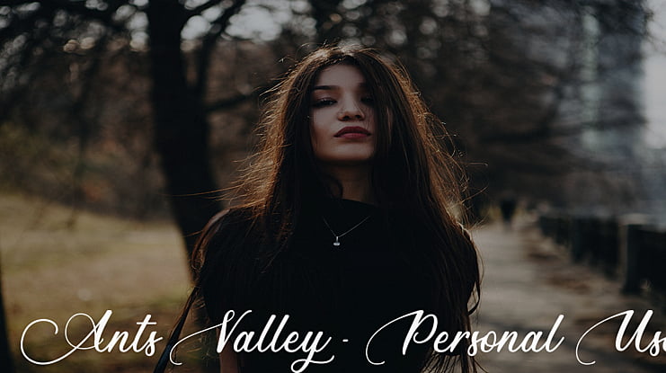 Ants Valley - Personal Use Font